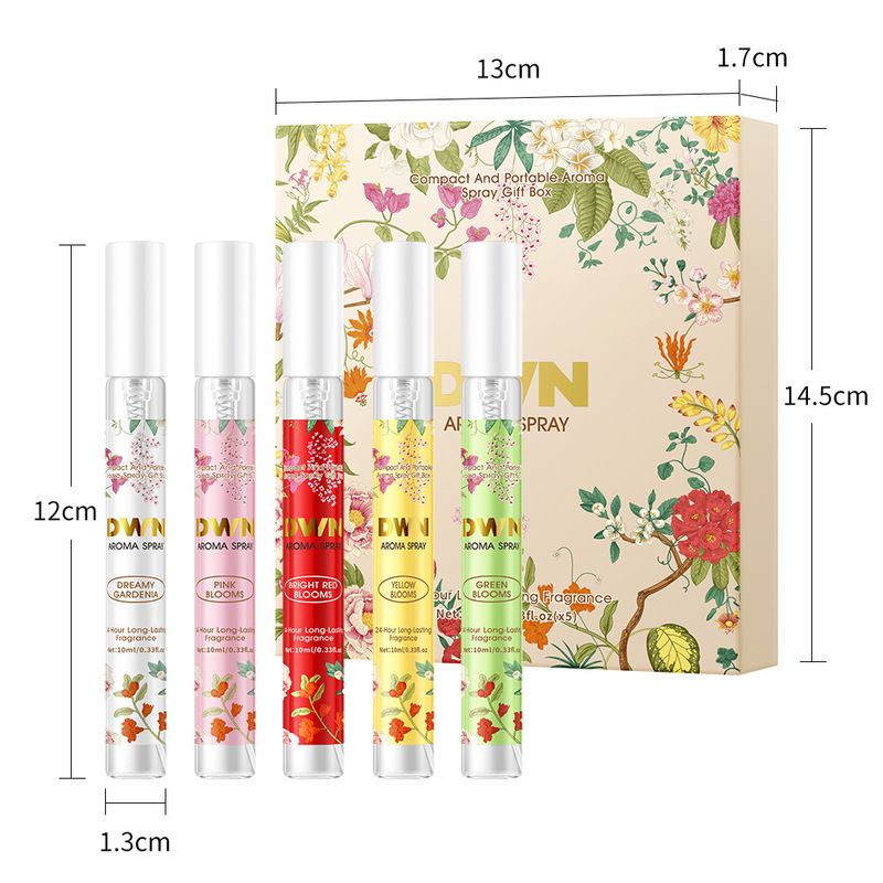 Household Indoor Mist Spray 5P - Storage review and price